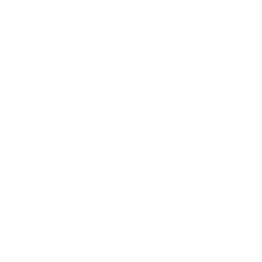 Economy Icon