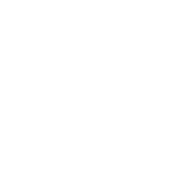 Judicial Reform Icon