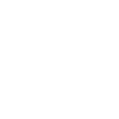 Election Reform Icon